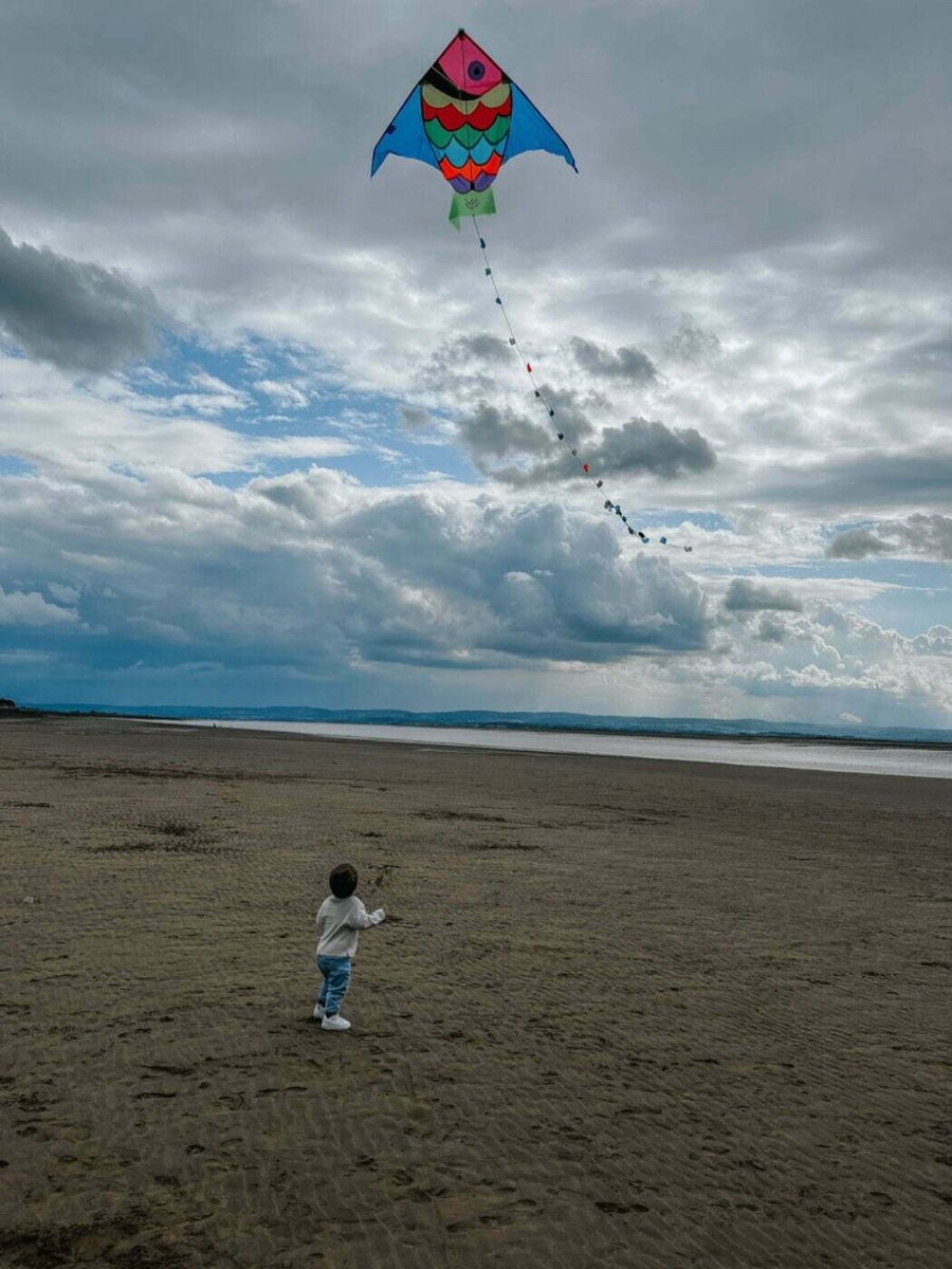 Christmas Hippychick | Vilac Giant Fish Kite